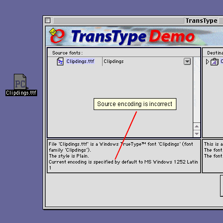 transtype services